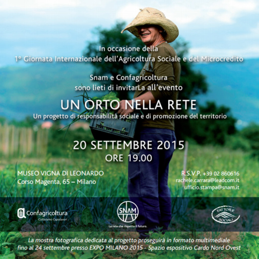 Exhibition: A garden in the network