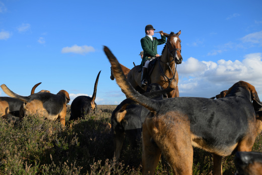 “Clean-boot hunting”