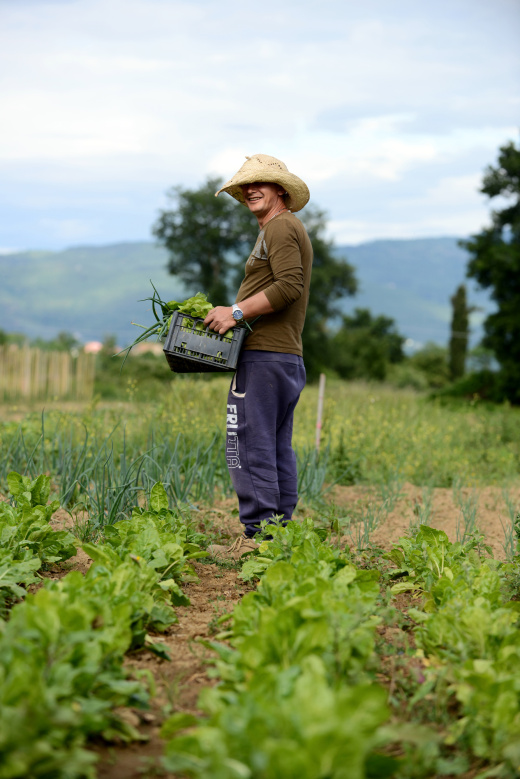 Snam - "A vegetable garden in the Network"