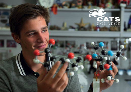 CATS College Prospectus 2014