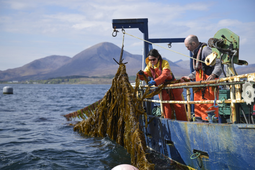 How Scotland’s seaweed growers are aiming to revolutionise what we buy