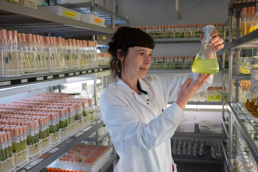 How Scotland’s seaweed growers are aiming to revolutionise what we buy