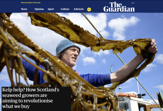 How Scotland’s seaweed growers are aiming to revolutionise what we buy